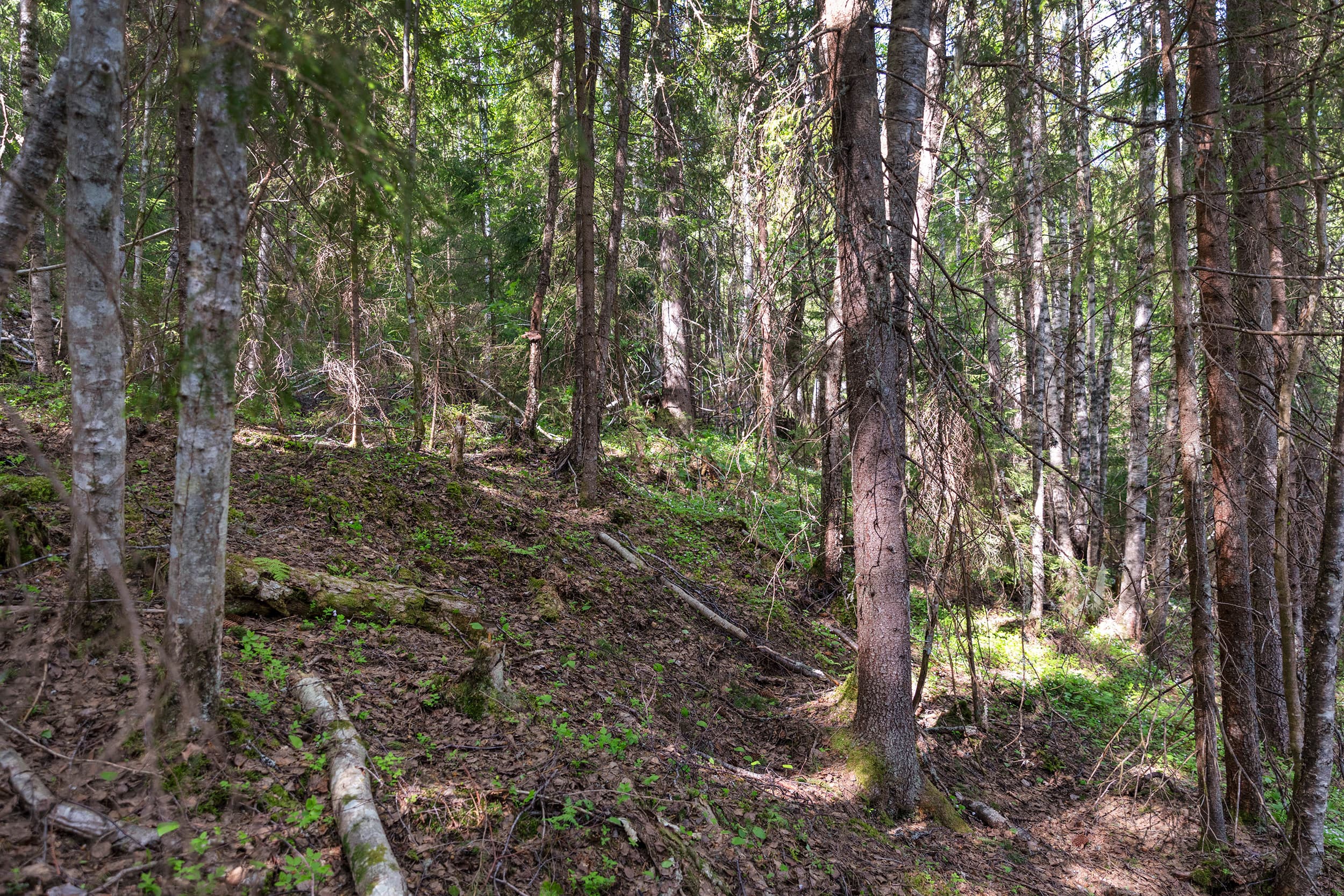 Strömås 1_8