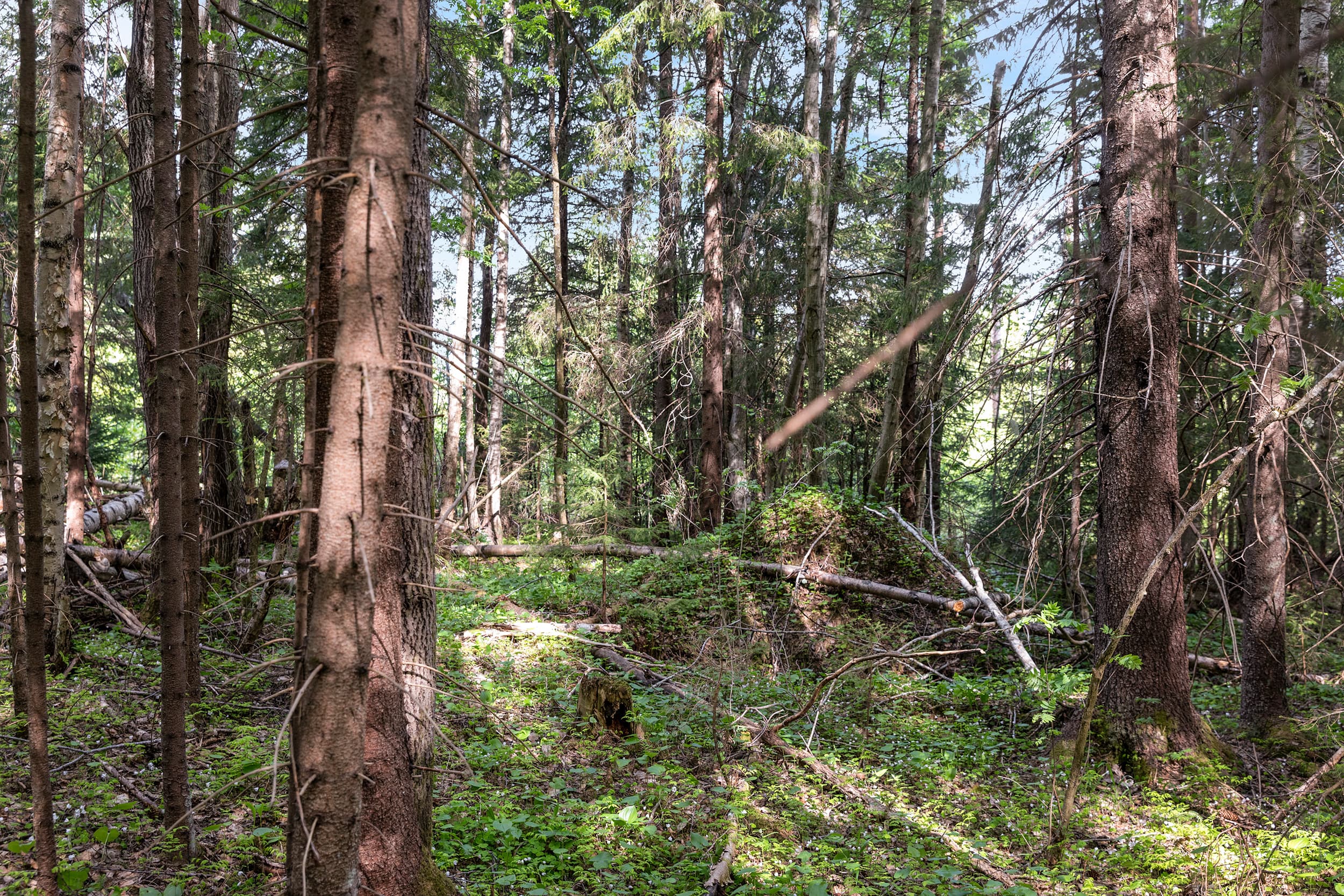 Strömås 3_6
